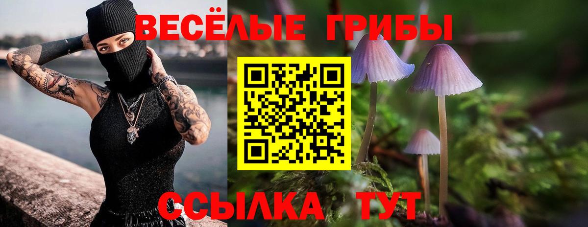 Ялуторовск  Псилоцибиновые грибы Psilocybe  где продают наркотики  Вход с VPN  Псилоцибиновые грибы Cubensis 